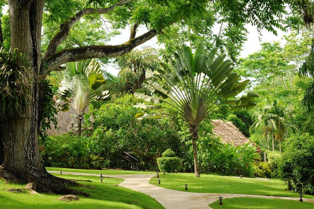 The Lodge At Chaacreek San Ignacio Exterior photo